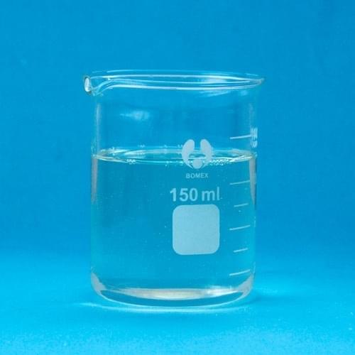 標本用品 Taiwan Dytiscoidae sp.38mm DZ9X259543001 | 墨水